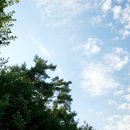 ㈜네추럴피드 | 22th 궁디팡팡 캣페스타 후기