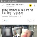 [단독] 부산여행 온 여성 2명 '묻지마 폭행'..남성 추적 이미지