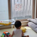 [육아일상] 7월24일~30일 (D+383~389)