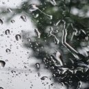 고우리수산 | 후기 3