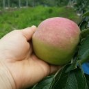 가경농장 이미지