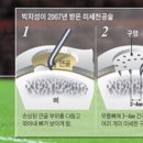 엔젤퀸 이미지