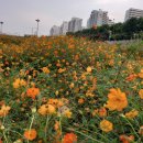 꽃길복지용구 이미지