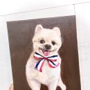 달마의 집(봉암화실) | 반려동물 초상화는 수내 서현 성남취미미술 상아빛화실