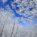 등산세상