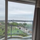 알로하무인텔 이미지