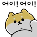 대화차유리 이미지