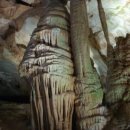 강원토속분식 이미지