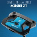 카메이크프로샵 | 퍼터만 바꿨는데 자신감이 생겼어요. 테일러메이크 제로토크 퍼터 교체후기 (양재 골프샵)