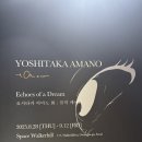 28-A | [전시] 요시타카 아마노 전시 &#34;Echoes of a Dream : 꿈의 메아리&#34; 관람 후기(8/28)