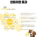 인트라젠 이미지