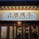 금별맥주통영
