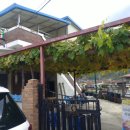 구단양순두부 이미지