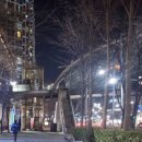 도그,위브 이미지