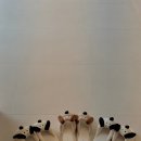 무야스테이 이미지