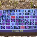 별장횟집 이미지