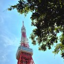 여행사진작가 이미지