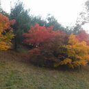 천내초등 이미지