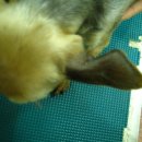 능곡초등학교 이미지