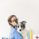 마이펫 동물병원 이미지