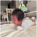 선우세탁 | 선우케어 천국 같았던 시간 또 뵙고 싶어요(천안/아산 산후도우미 후기)