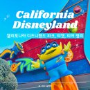 365플러스 모란타운점 | LA디즈니랜드, 헷갈리는 용어들 총 정리, 티켓 가격비교