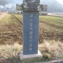 강진8호 이미지