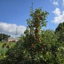 우연농장 이미지