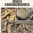 칡즙 효능 40대 내가 먹는 예진식품 자연산 칡효능