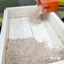 중곡초등학교병설유치원 이미지