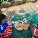 느티울집 이미지