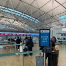 369 | 중국 상해여행 중국남방항공 CZ314/CZ369 탑승 솔직 후기