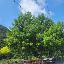 578스테이 이미지