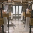 화랑인터넷 이미지