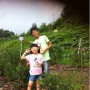 김형근농장 이미지