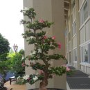 여수시청(시청앞) 이미지