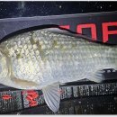 삼인낚시터 이미지