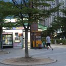 세븐일레븐 인하대역점 네이버블로그