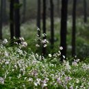 율곡수목원(2) 이미지