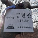 ♡24~02~18부산2틀날 금련산 황령산 사자산 해운대 낙곱새 먹고 동백섬 용두산 공원 자갈치 시장 광안 해수욕장 힐링산행 ㅎ ^~^♡ 이미지