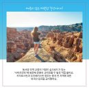 두발로무역 이미지