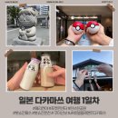 그린상점가 네이버블로그
