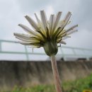 구덕초등학교 이미지