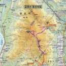 금성초교 이미지