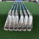 부여 새시장 | 부여 중고 골프샵 여성 아이언 스윙분석 후 포틴 구매한 후기