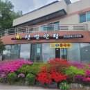 샛별반점