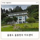 울릉천국 아트센터 | 울릉도 여행 아이랑 가볼만한 곳 울릉천국 아트센터 잔디정원 카페