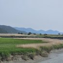 순천만 여행 | 5월 순천만습지 여행 후기 🌿 갈대길 포토스팟과 찾아가는 길