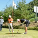 파크골프 이미지