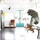 황금당구장 이미지